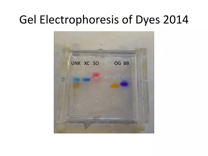 gel electrophoresis of dyes 2014