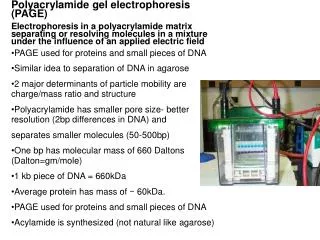 Polyacrylamide gel electrophoresis (PAGE)