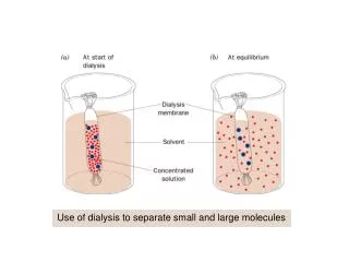 Use of dialysis to separate small and large molecules