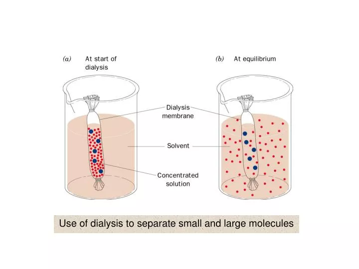 use of dialysis to separate small and large molecules
