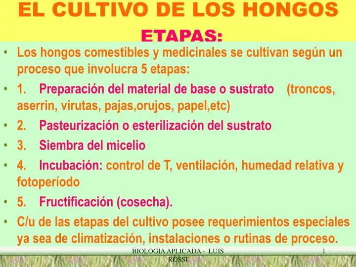 el cultivo de los hongos etapas