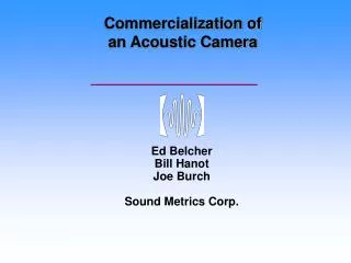 Commercialization of an Acoustic Camera