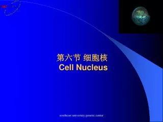 第六节 细胞核 Cell Nucleus