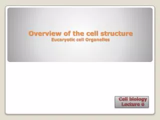 Overview of the cell structure Eucaryotic cell Organelles