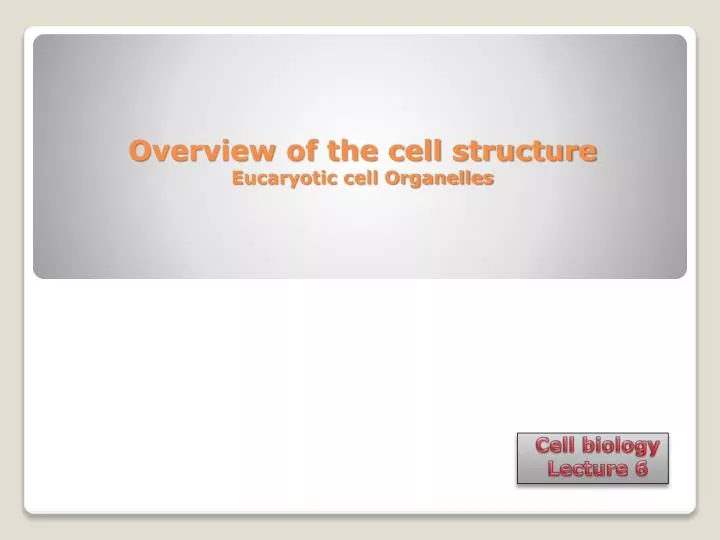 overview of the cell structure eucaryotic cell organelles