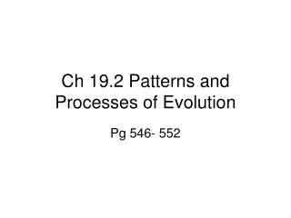 Ch 19.2 Patterns and Processes of Evolution