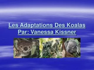 Les Adaptations Des Koalas Par: Vanessa Kissner