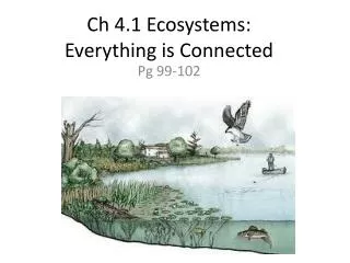 Ch 4.1 Ecosystems: Everything is Connected