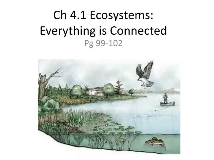 ch 4 1 ecosystems everything is connected