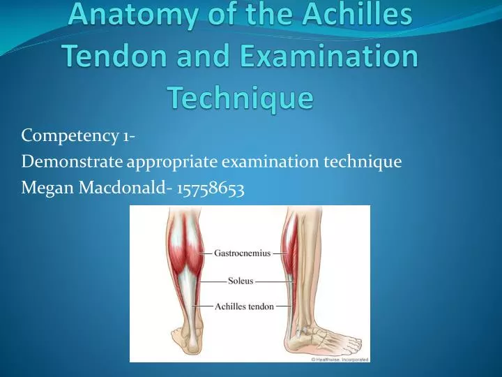 anatomy of the achilles tendon and examination technique