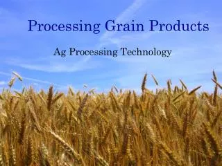 Processing Grain Products