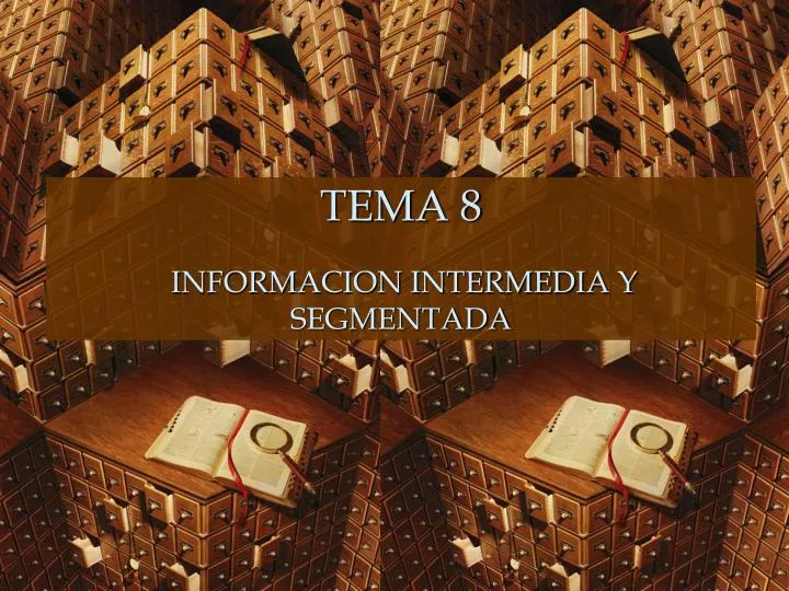 tema 8 informacion intermedia y segmentada