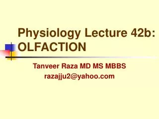 Physiology Lecture 42b: OLFACTION