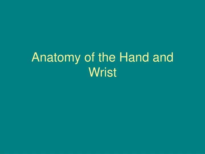 anatomy of the hand and wrist