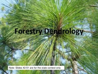 Forestry Dendrology