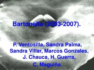 Bartonella (2003-2007).