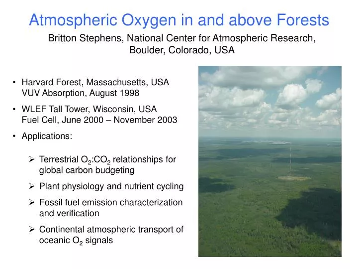 atmospheric oxygen in and above forests