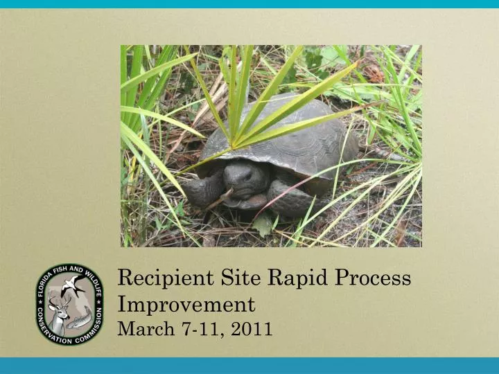 recipient site rapid process improvement march 7 11 2011