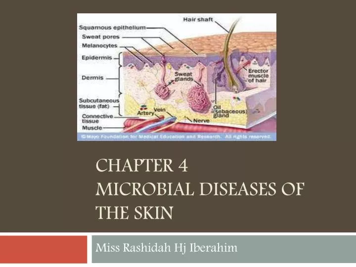 chapter 4 microbial diseases of the skin