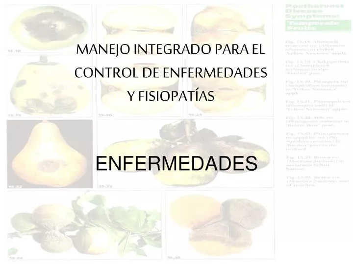 manejo integrado para el control de enfermedades y fisiopat as