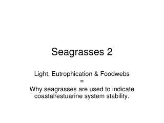 Seagrasses 2