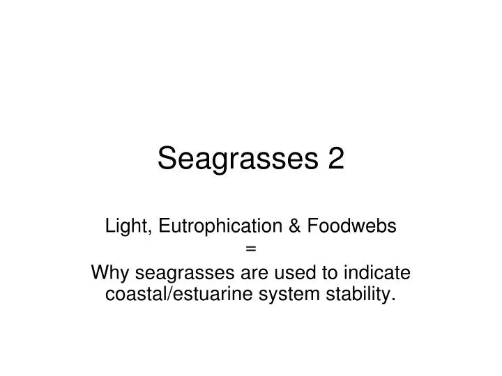 seagrasses 2