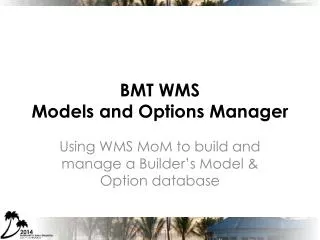 BMT WMS Models and Options Manager