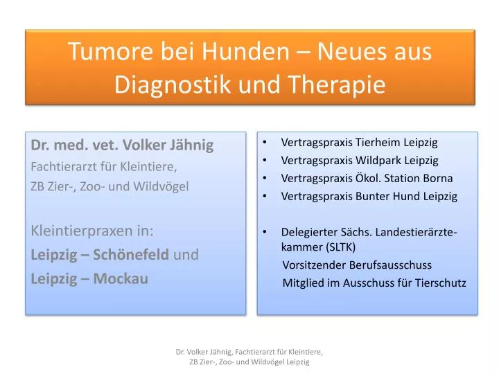 tumore bei hunden neues aus diagnostik und t herapie