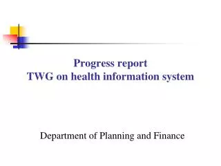 Progress report TWG on health information system