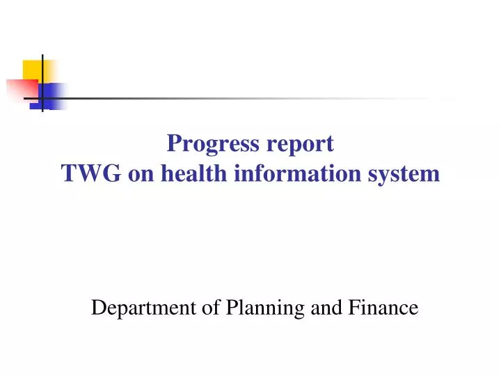 progress report twg on health information system