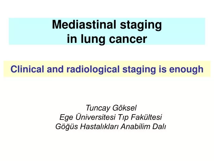 mediastinal staging in lung cancer