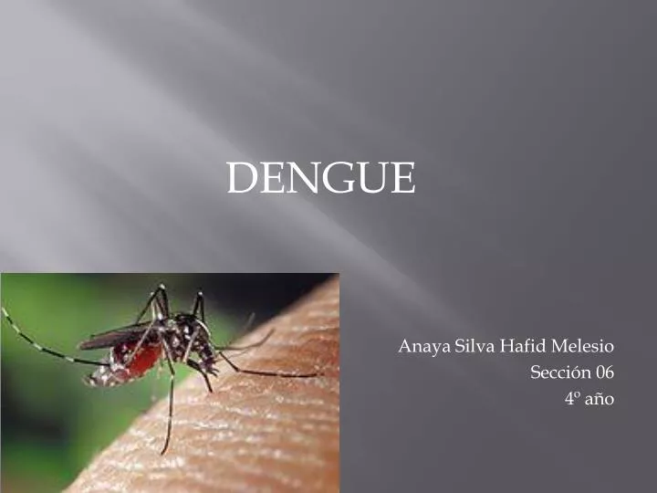 dengue anaya silva hafid melesio secci n 06 4 a o