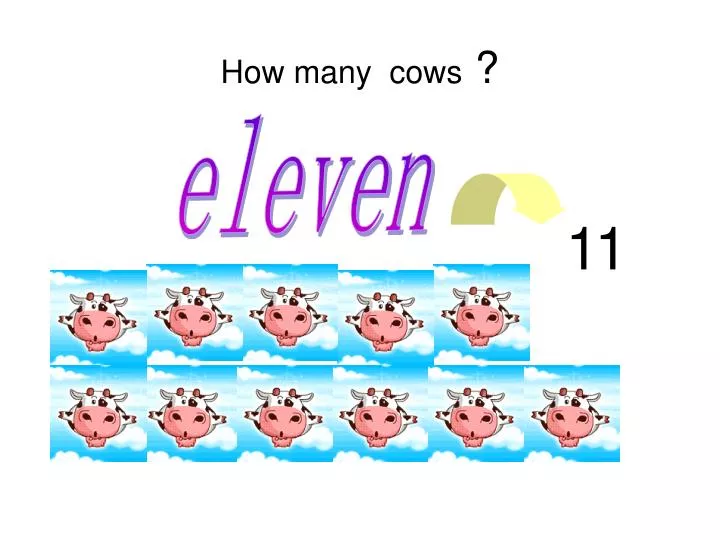 how many cows