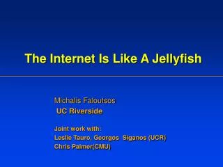The Internet Is Like A Jellyfish