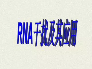 RNA 干扰及其应用