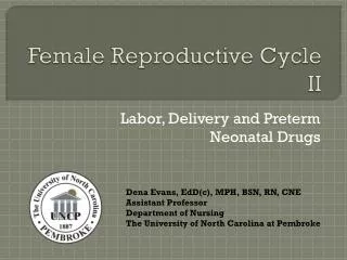 Female Reproductive Cycle II