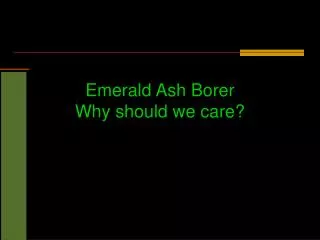 Emerald Ash Borer Why should we care?