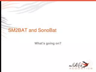 SM2BAT and SonoBat