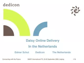 Daisy Online Delivery In the Netherlands Edmar Schut Dedicon The Netherlands