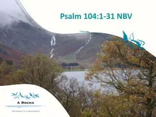 Psalm 104:1-31 NBV