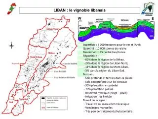 LIBAN : le vignoble libanais