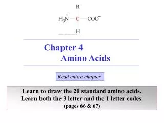 Chapter 4 	Amino Acids