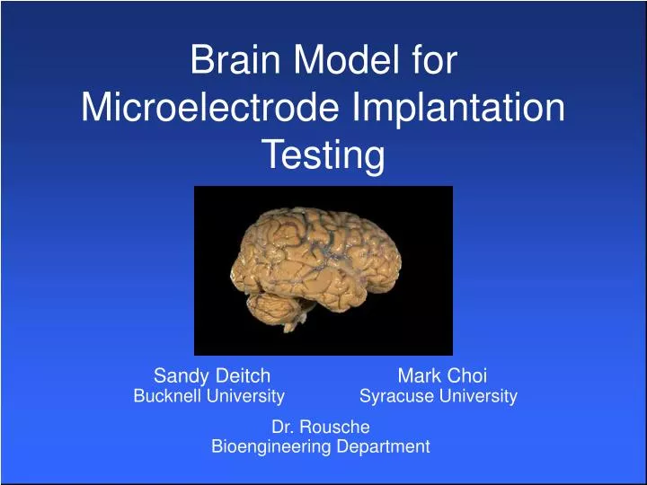 brain model for microelectrode implantation testing
