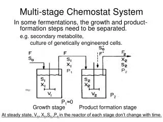 Multi-stage Chemostat System