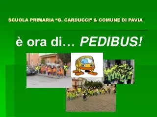 SCUOLA PRIMARIA “G. CARDUCCI” &amp; COMUNE DI PAVIA