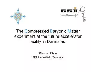 The C ompressed B aryonic M atter experiment at the future accelerator facility in Darmstadt