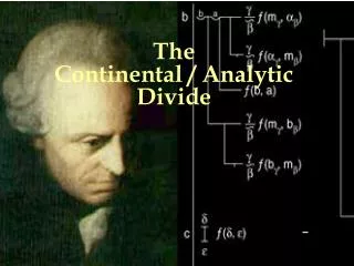 The Continental / Analytic Divide