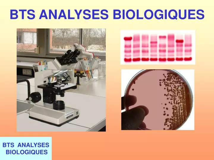 bts analyses biologiques
