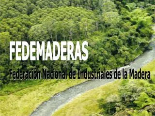LA INDUSTRIA FORESTAL EN COLOMBIA