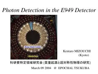 Photon Detection in the E949 Detector